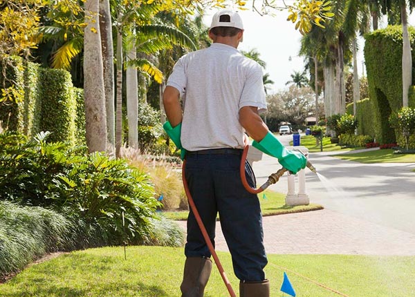 About Osceola MO Pest Control